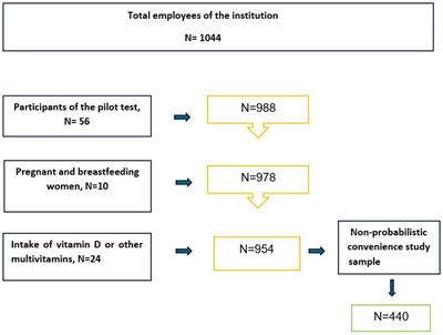 Hypovitaminosis D in university workers in Southern Ecuador: interactions between gender and lifestyle